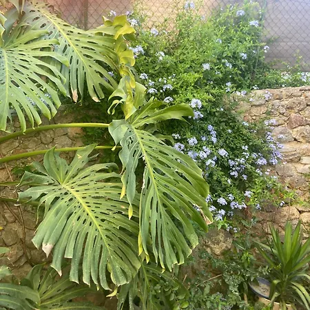 Studio 3 Personnes Avec Jardinet Mer Et Foret Apartment La Farlede